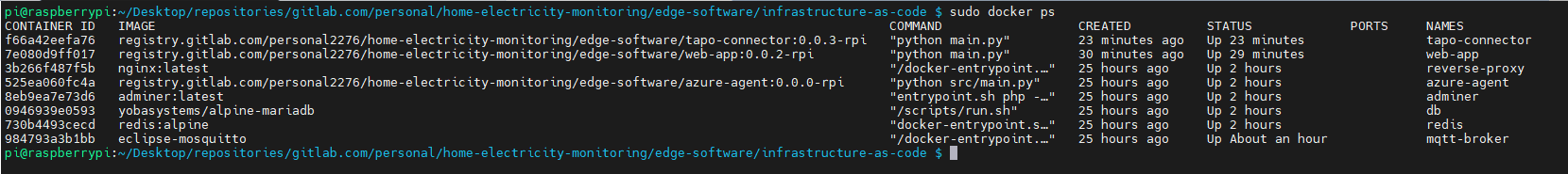 Figure 6) Screenshot that shows the Docker containers running on the Raspberry Pi.